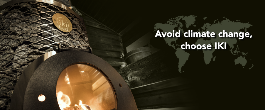 wood burning sauna stove